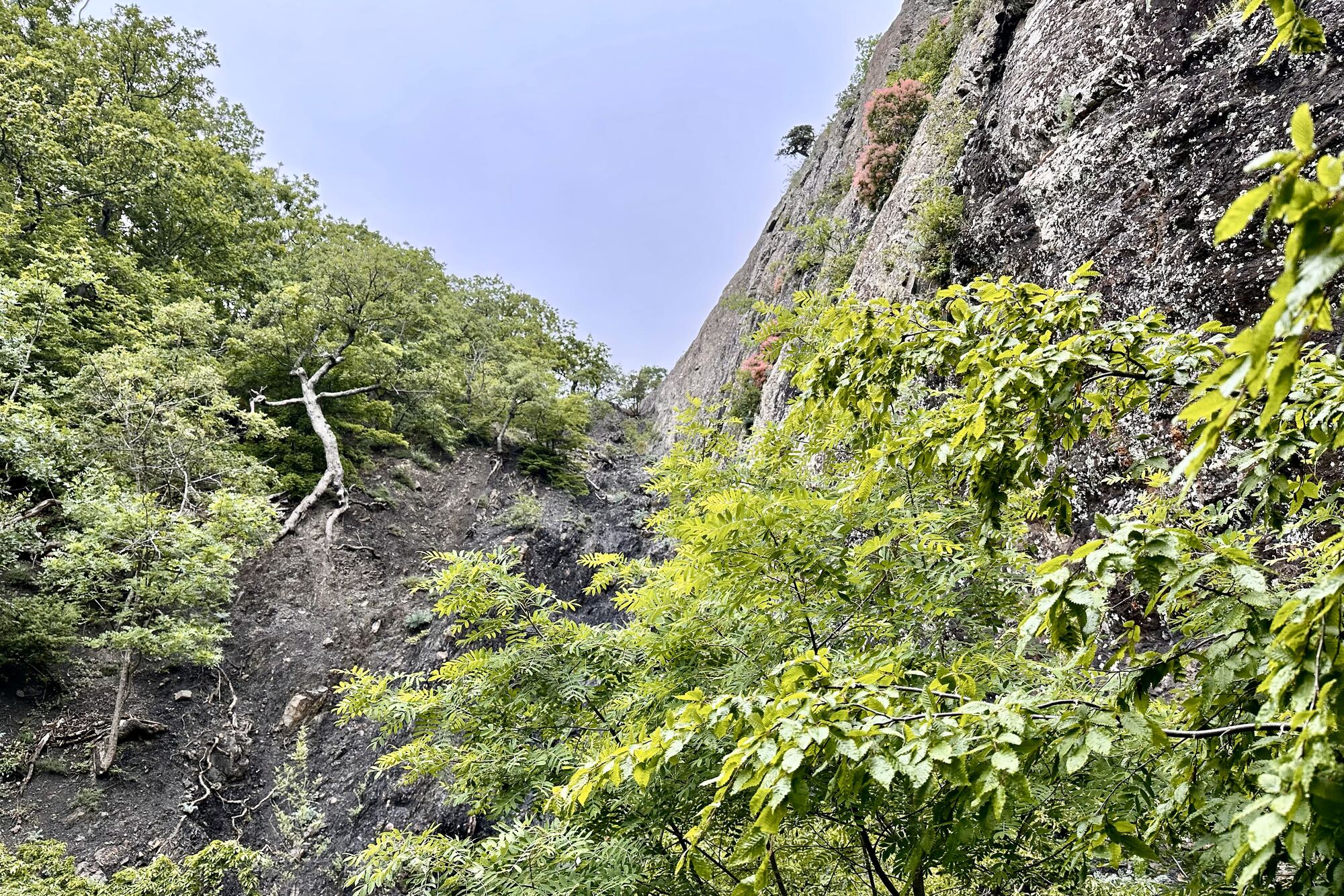 Россия, Республика Крым, Алушта и окрестности