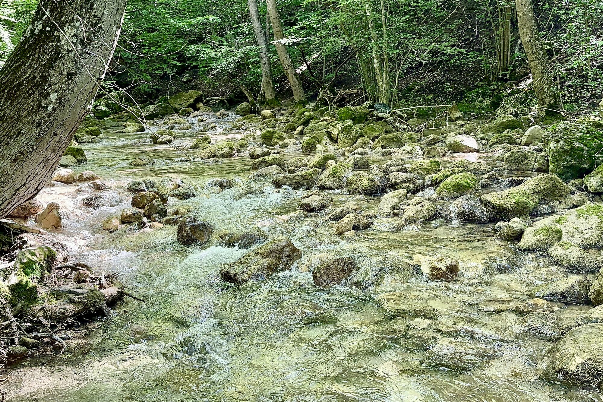Россия, Республика Крым, Алушта и окрестности