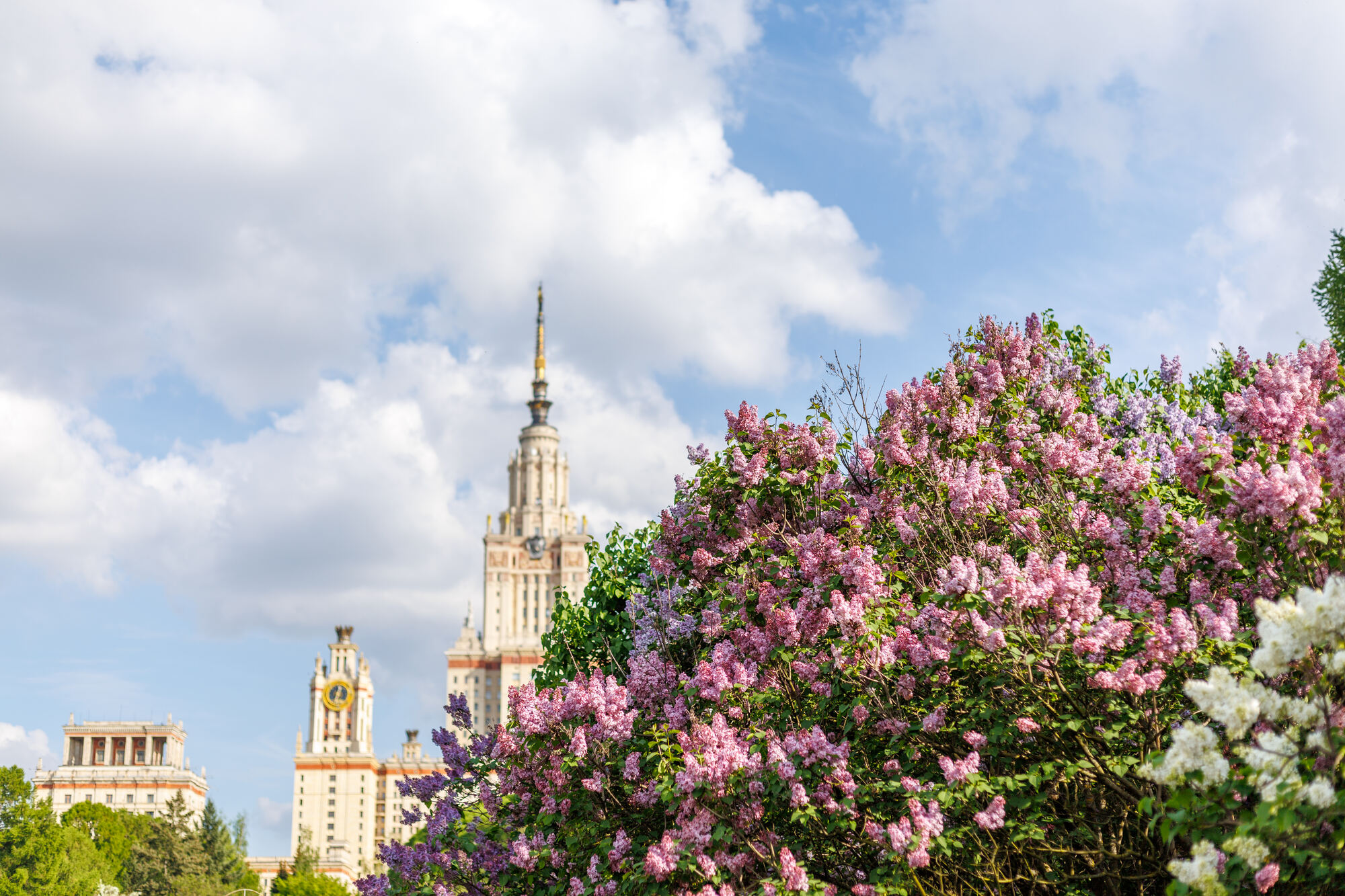Россия, Москва, Ботанический сад МГУ на Воробьёвых горах