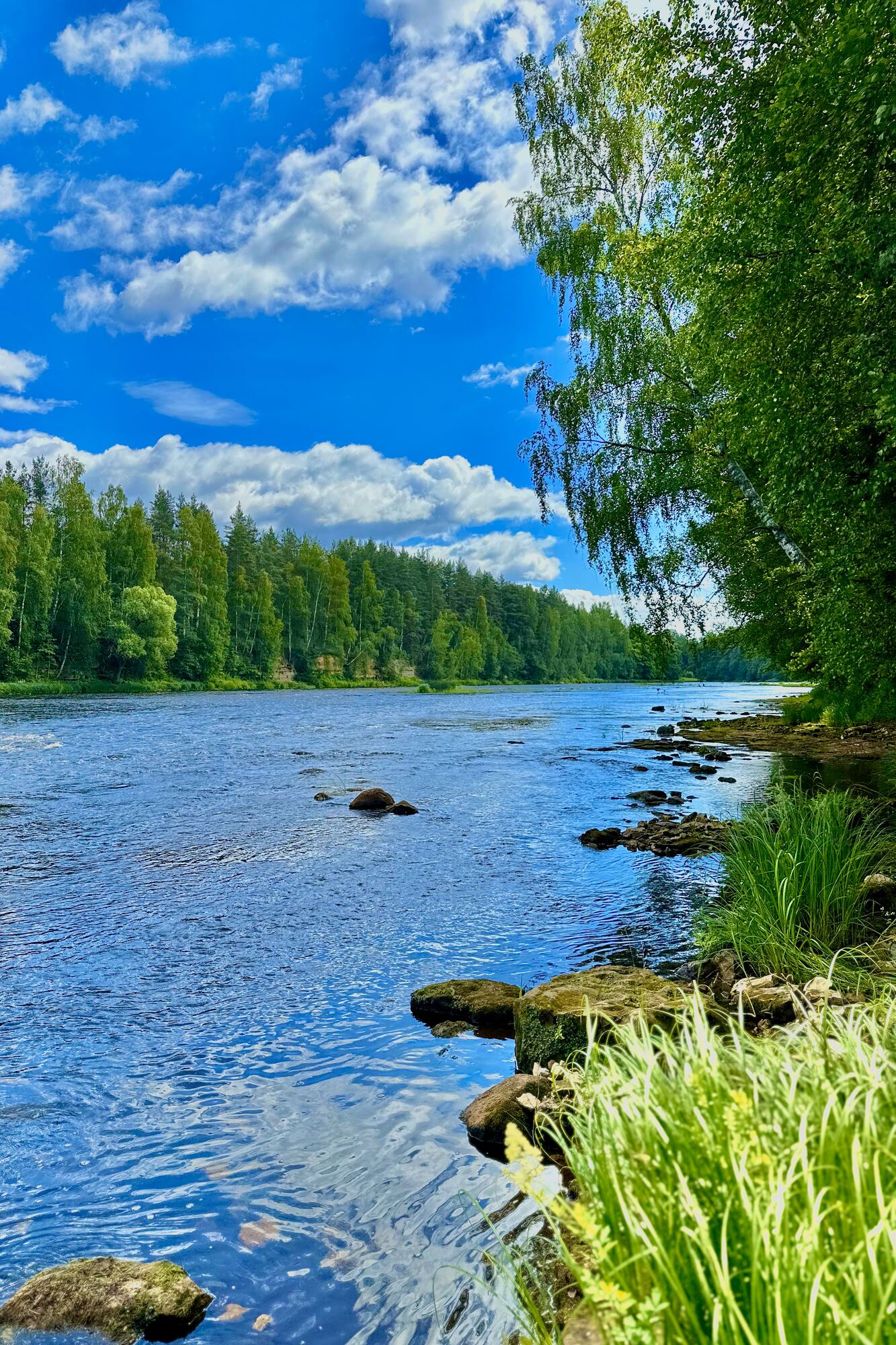 Россия, Новгородская область, речной ландшафт