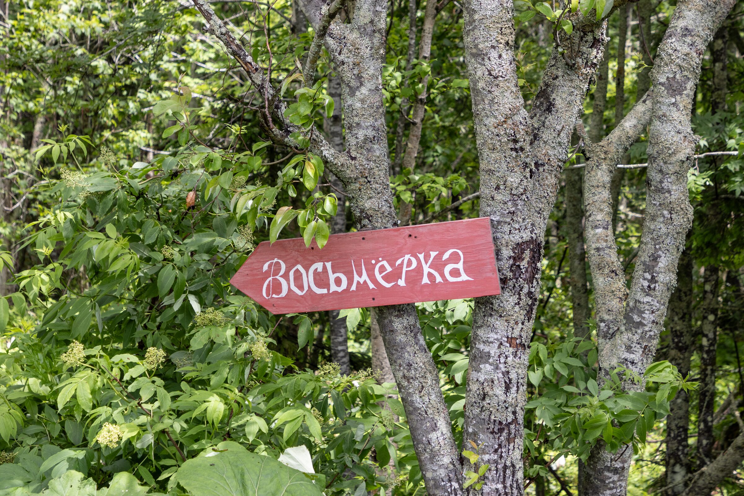 Россия, Сахалинская область, Южно-Сахалинск, спортивно-туристический комплекс «Горный воздух»
