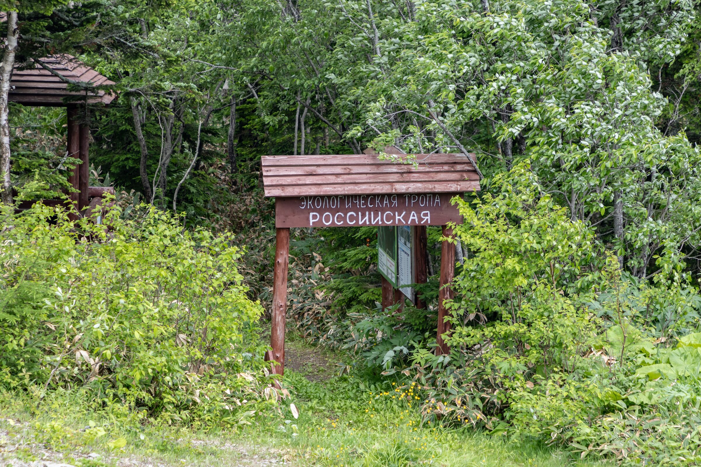 Россия, Сахалинская область, Южно-Сахалинск, спортивно-туристический комплекс «Горный воздух»