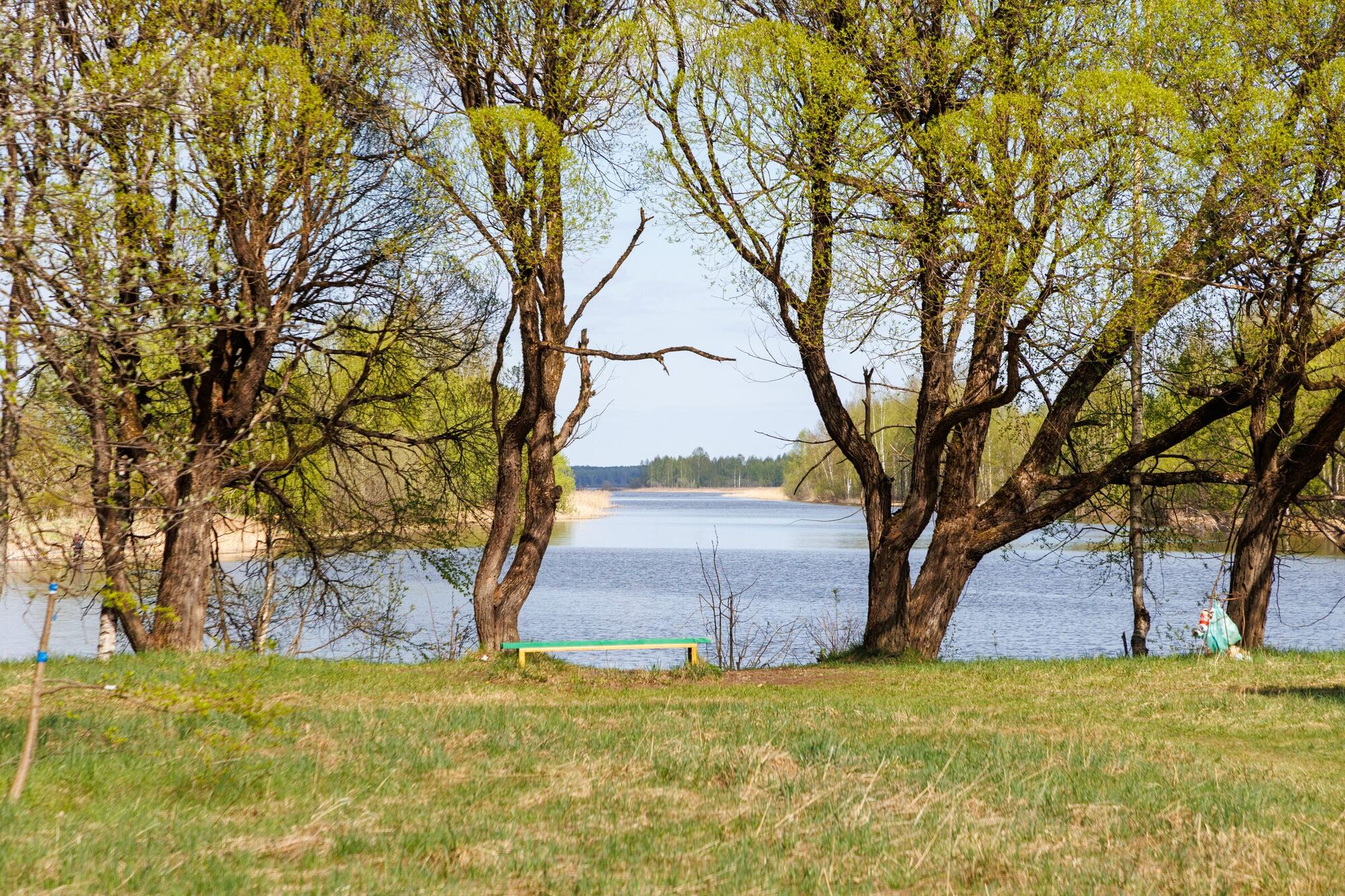 Россия, Ярославская область, посёлок Борок и окрестности